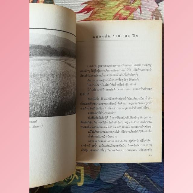 เอกเขนกในสวนของคนขี้เกียจ : สุวิชานนท์ รัตนภิมล (สารคดี ความเรียง วิถีชนเผ่าปกากะญอ) 4