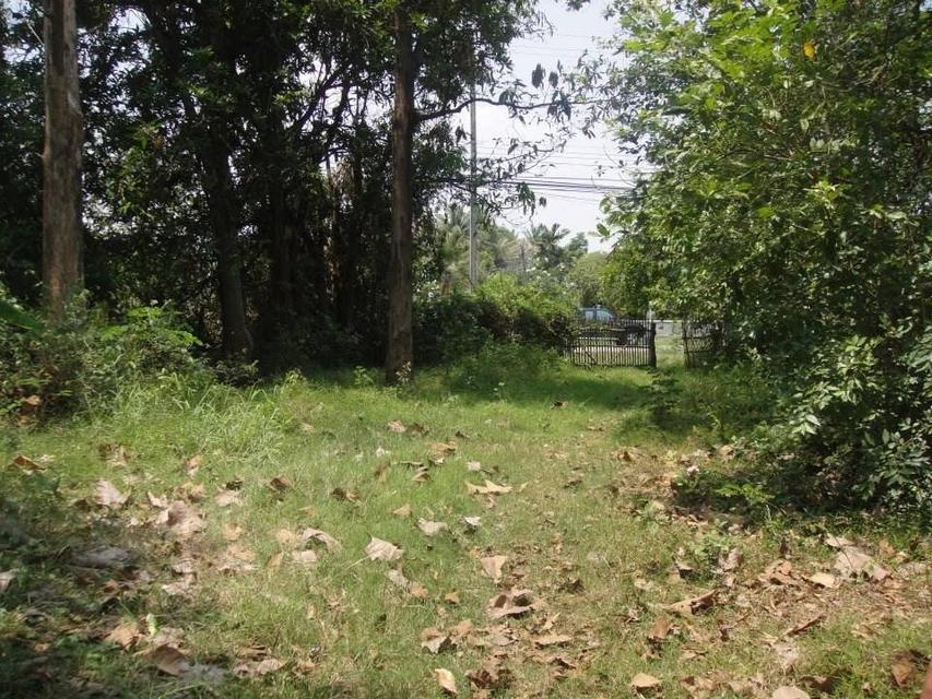 ที่ดินเปล่า แปลงใหญ่ ติดถนน ทำเลทอง ใกล้บิ๊กซี ซูเปอร์เซ็นเตอร์ แม็กซ์โฮม จังหวัดขอนแก่น 9