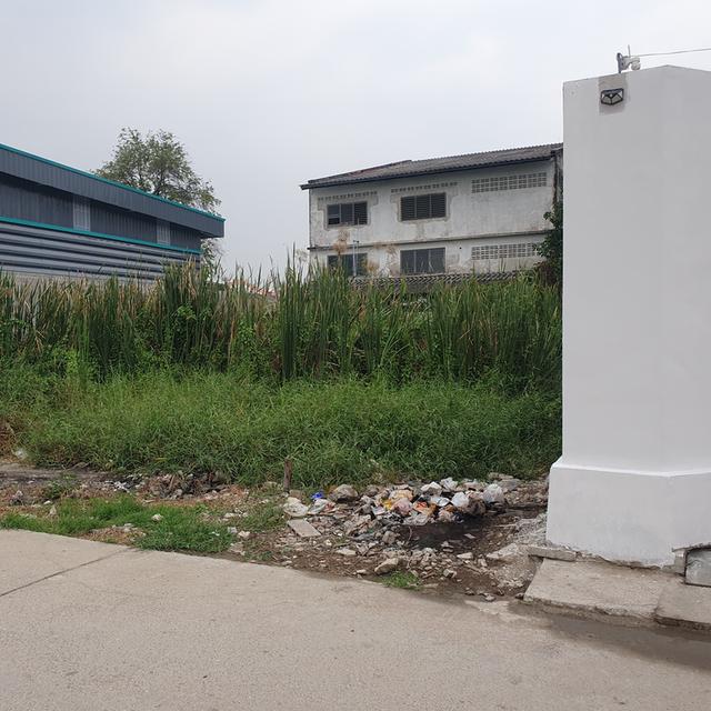 ที่ดินบางบอน5 หนองแขม 3