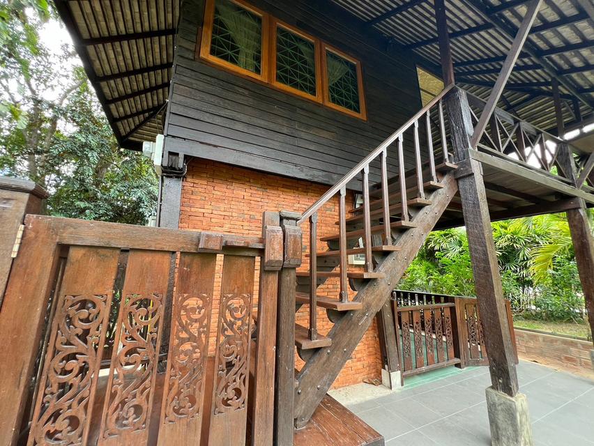 ให้เช่าบ้านเดี่ยวยกสูง ตอบโจทย์คุ้มค้า 2ห้องนอน 2ห้องน้ำ 18000/เดือน อุปกรณ์ภายในครบครัน ใกล้สิ่งอำนวยความสะดวก 6