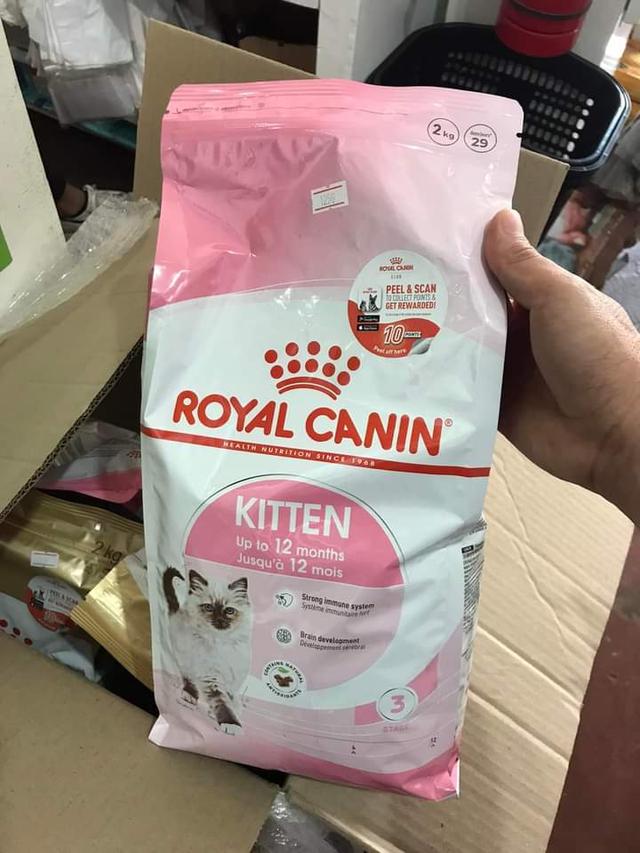 Royal Canin 3