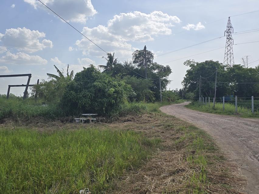 🍀 ขายที่ดินโคราช ใกล้จุดขึ้นลงมอเตอร์เวย์ M6 เพียง 7 นาที 5