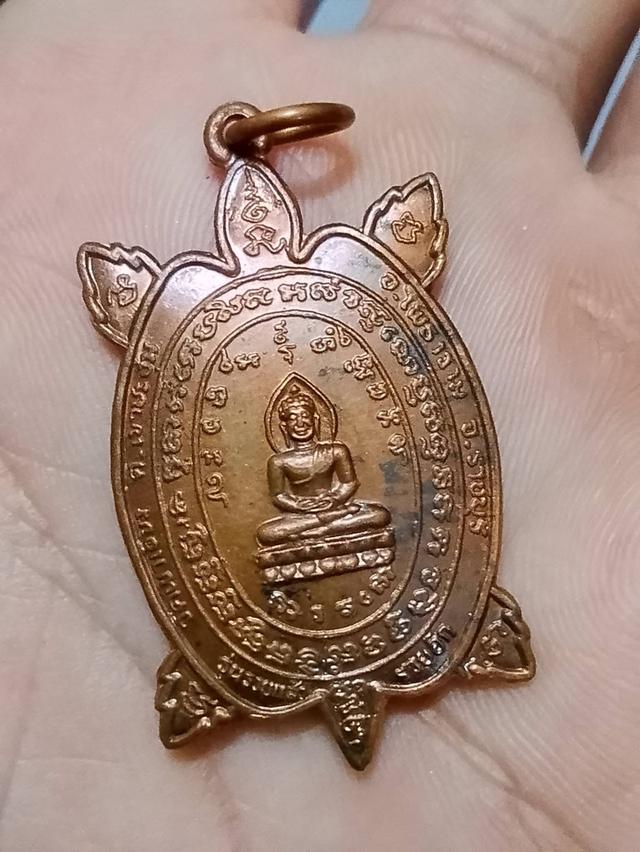 เต่าหลวงปู่หลิว วัดเขาเขียว ราชบุรี