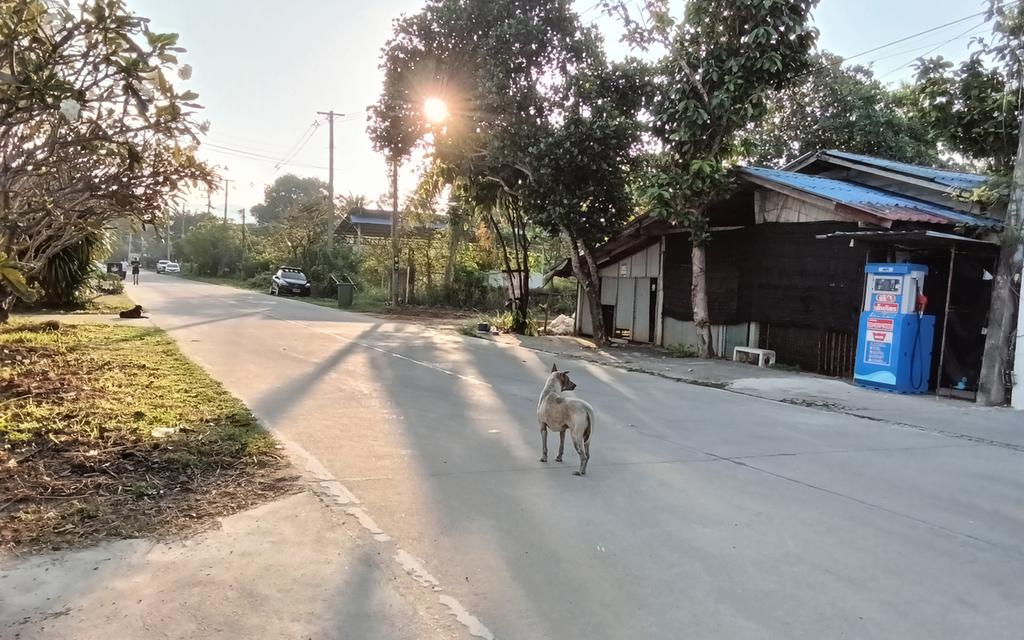 Land for rent and for sale 1