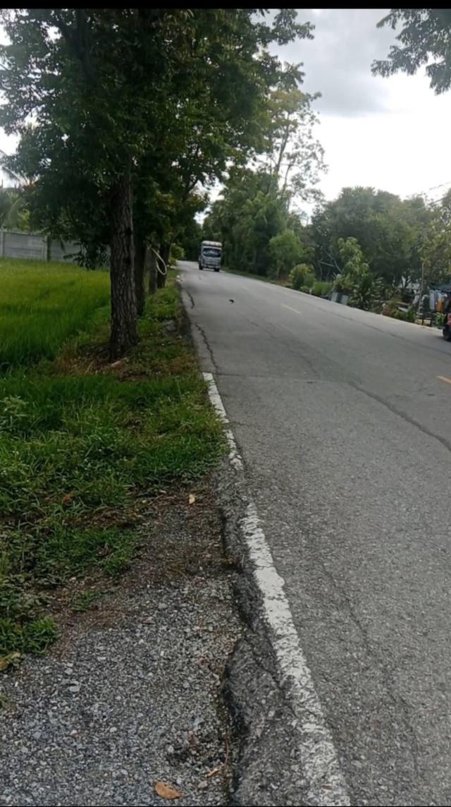 ที่ดินพร้อมบ้านที่ดินสวย บรยากาศดี ถมแล้ว 2ไร่ + บ้าน 1หลัง ติดถนนซอยแยก ซอยวัดลาดปลาดุก เดินทางสะดวกไปเซ็นทรัลเวสเกต กาญจนาภิเษก ไทรน้อย ไทรใหญ่ 7