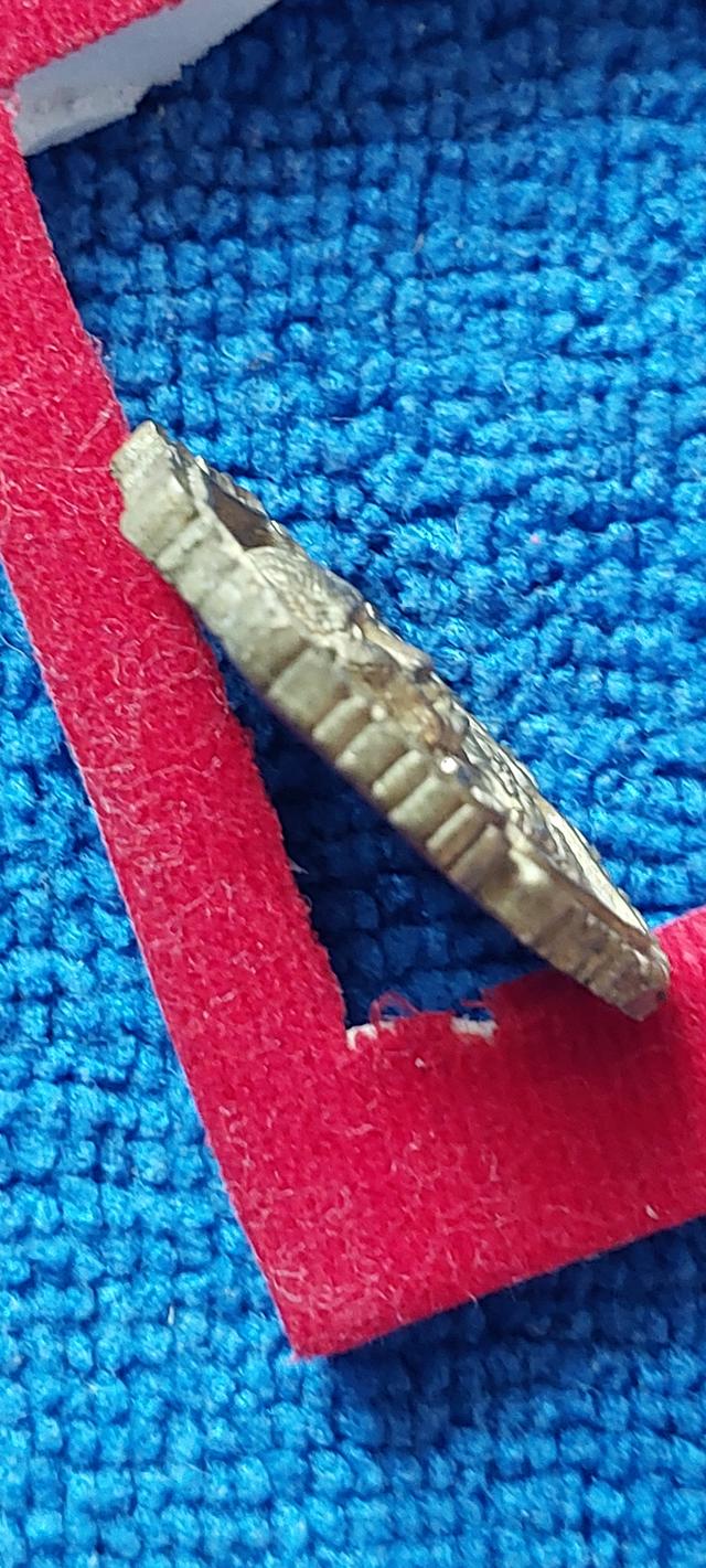 เหรียญหลวงพ่อดำวัดดุยง(วัดมุจลินทวาปีวิหาร)เนื้อใบพัดเรือ รูปที่ 4