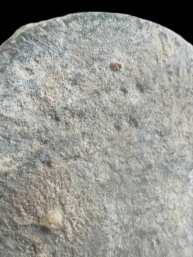 พระพุทธบาทปิลันทน์.. รูปที่ 12