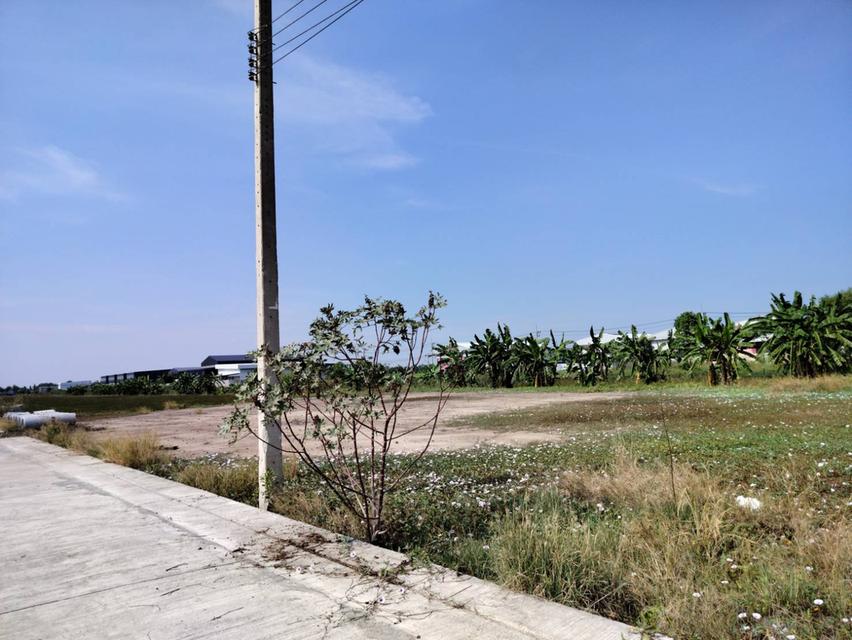 ขายที่ดินเปล่าถมเเล้ว 2