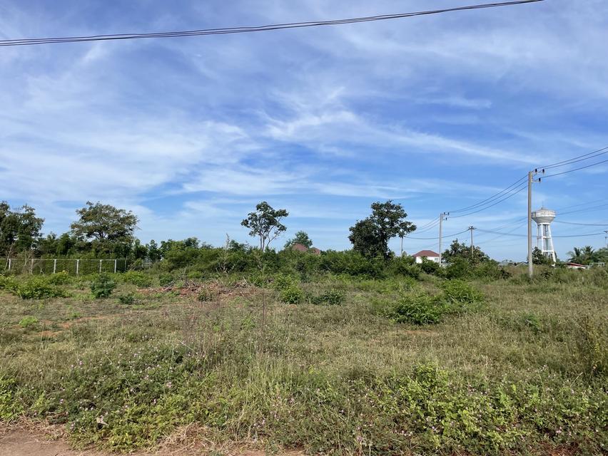 ที่ดินใกล้ ม.เกษตร สกลนคร แบ่งขาย ใกล้ ม. / 7-11 / หอพัก ที่ดินสูง ถนนคอนกรีต ไฟฟ้า–ประปาพร้อม  • แปลงที่ 1 : 1 งาน → 480,000 บาท • แปลงที่ 2 : 1 งาน 6