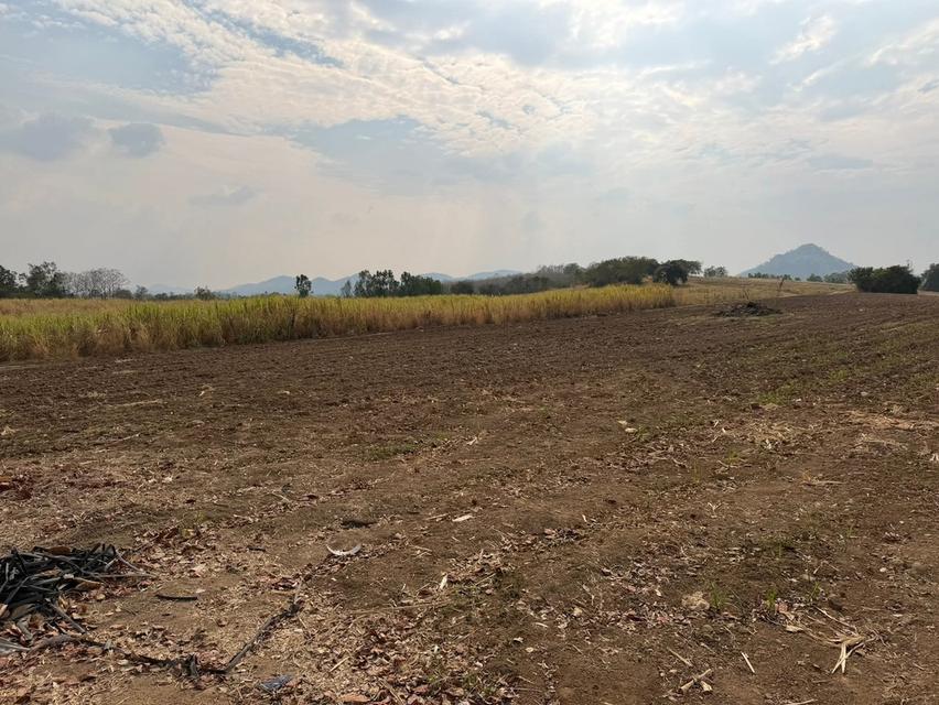 ขายที่ดินติดลำธารที่เพชรบูรณ์ 13