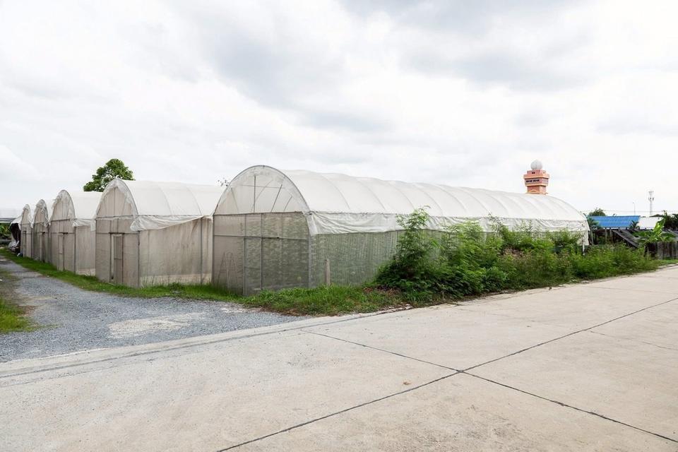 ที่ดินพร้อมสิ่งปลูกสร้างคาเฟ่โรงเรือน เลียบคลองทวีวัฒนาต้นทางเพชรเกษม 10