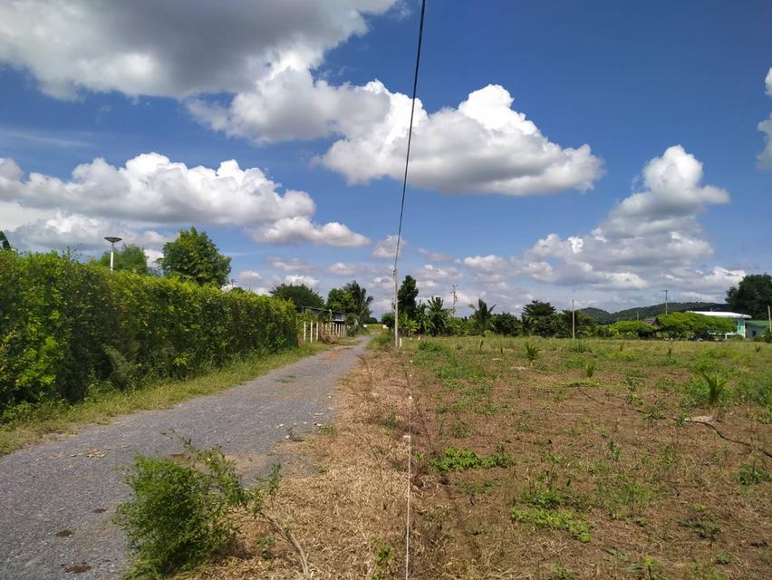 ขายที่ดิน 2 ไร่ (ขายขาดทุน) 3