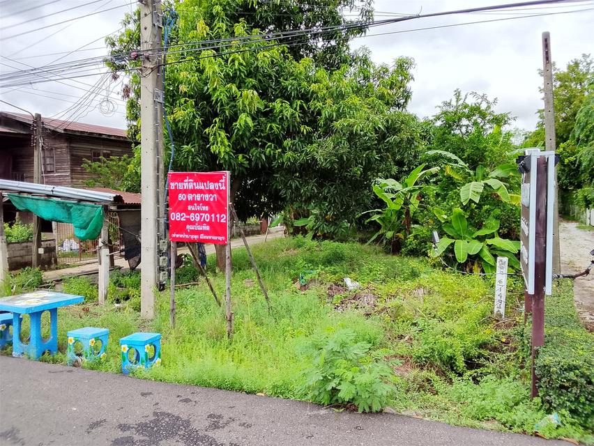 ขายที่ดิน 60 ตรว. ติดถนน 4 เลน 2