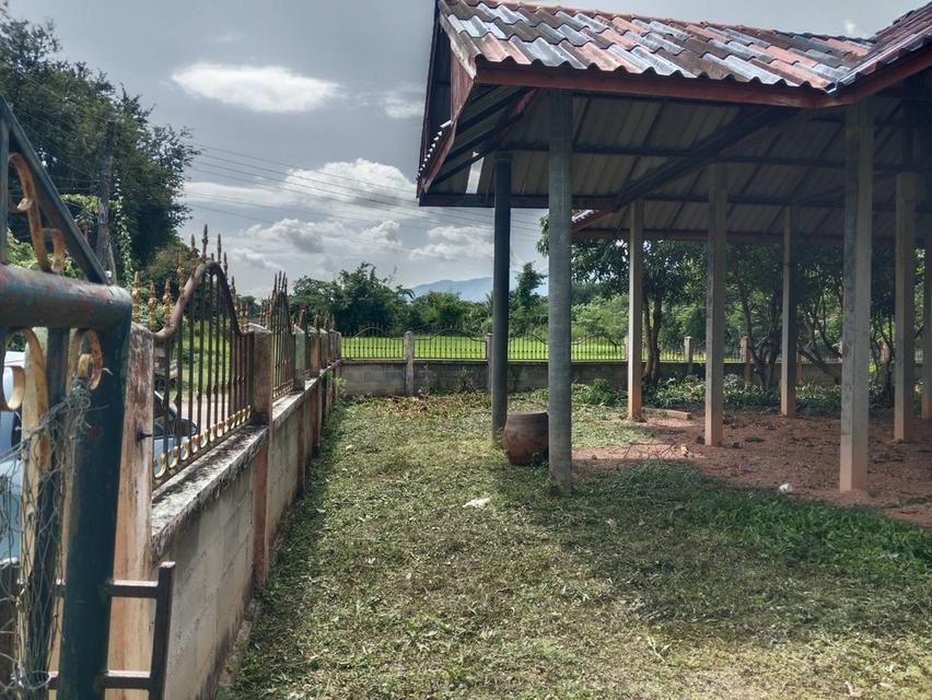 ที่ดิน ตำบลป่าสัก อำเภอวังชิ้น จังหวัดแพร่ 3