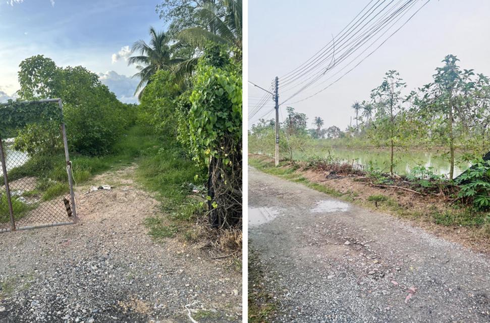 ให้เช่าที่ดินศาลายา 6 ไร่ ติดแม่น้ำท่าจีน ถนนบรมราชชนนี-สาย 7 สามพราน นครปฐม ใกล้เซ็นทรัลศาลายา 4