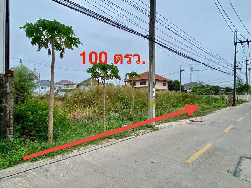 ขายที่ดินสวย 100 ตรว เขต บางขุนเทียน กทม 2