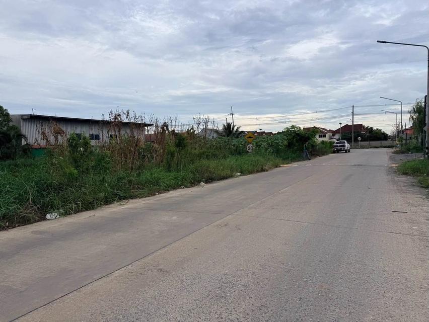 ขายด่วนที่ดินคลองสอง 363 ตรว ติดถนนคอนกรีต ซ.บงกช 69 อ.คลองหลวง จ.ปทุมธา 9