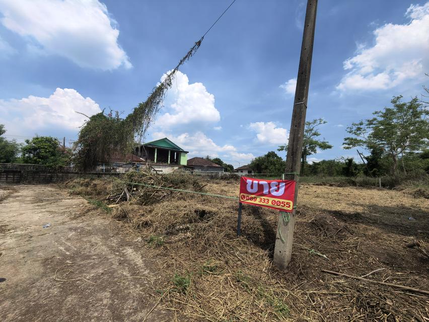 ที่ดินเปล่า60.7และ60ตรว. คลอง8 ถ.รังสิตนครนายก  อยู่ในหมู่บ้านณัฐวดี ซอย38 จากหน้าหมู่บ้านถึงที่ดินประมาณ 1.3โล 7