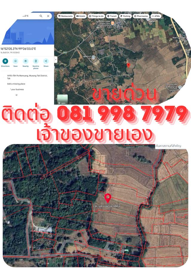 ที่นา 5 ไร่กว่า อำเภอเมือง จังหวัดตาก 1