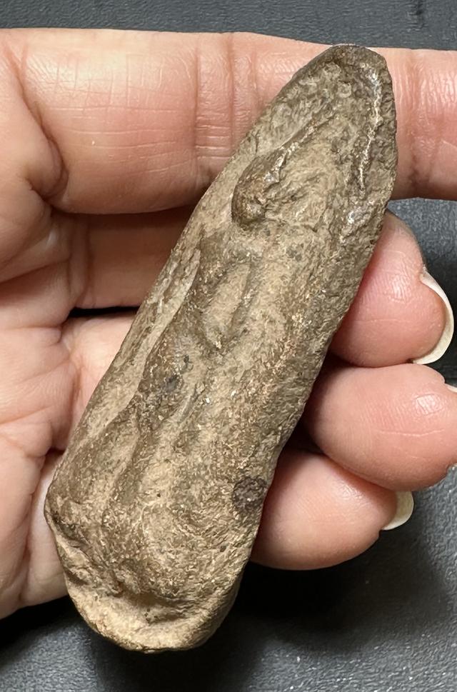 พระลีลาเนื้อดินทุ่งเหยียบดอก หลวงพ่อสุรินทร์ วัดลาดบัวขาว ราชบุรี พระมีประสบการณ์ดี รูปที่ 4