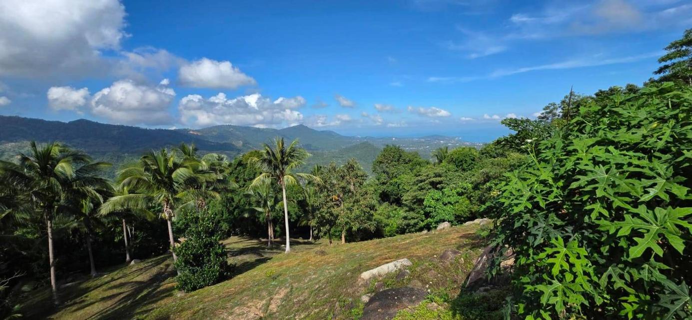 ที่ดินซีวิวบนเกาะสมุยอากาศดีถนนไฟฟ้าพร้อม 3