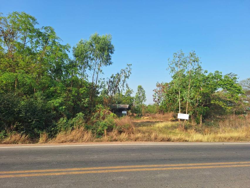 ขายที่ดินจังหวัด นครสวรรค์ ตำบลพนมรอก อำเภอท่าตะโก จำนวน 4 ไร่ 2 งาน 98 ตารางวา ติดถนน ขุดบ่อ มีบ้านพร้อมน้ำไฟ 2.5 ล้านบาท 3