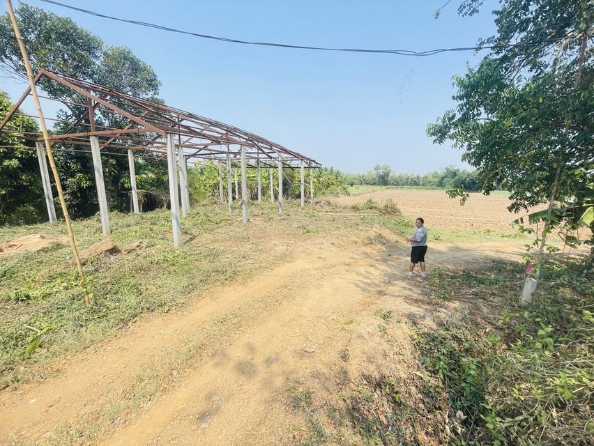 ขายถูกที่สุด ที่ดิน108ตรว.พร้อมโครงสร้างเสา15ต้น 12