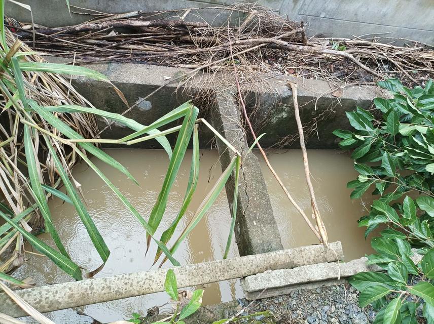 ขายที่ดิน 95ตร.ว. ต.เชิงดอย อ.ดอยสะเก็ด จ.เชียงใหม่ รูปที่ 10