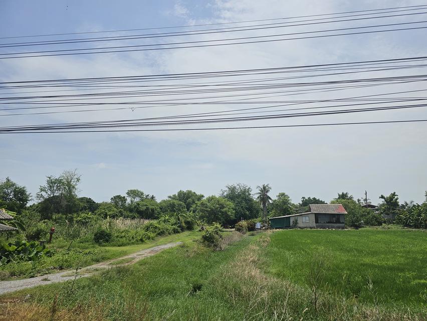 ขายที่ดินจังหวัดนนทบุรี 2