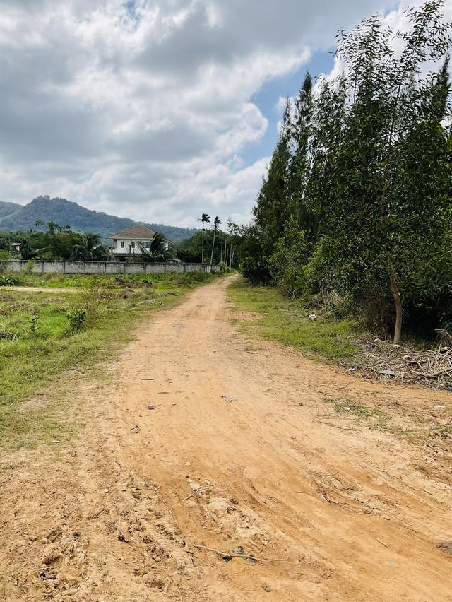 ขายที่ดิน 4 ห้อง คลองแห หาดใหญ่ 2