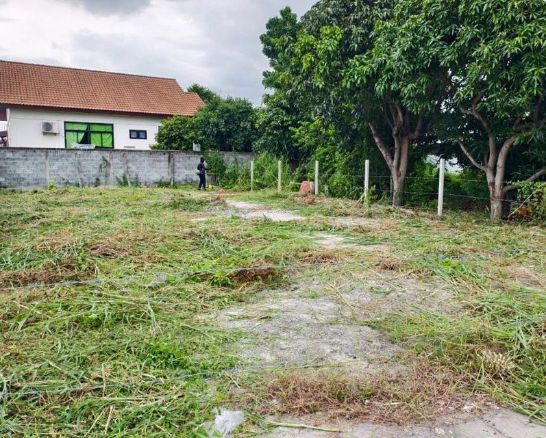 ขายที่ดินเสม็ด บางแสน ซอยหลังแม็คโคร 74 ตรว. ใกล้แยกอ่างศิลาใกล้ถนนสุขุมวิท3-400เมตร จ.ชลบุรี 3