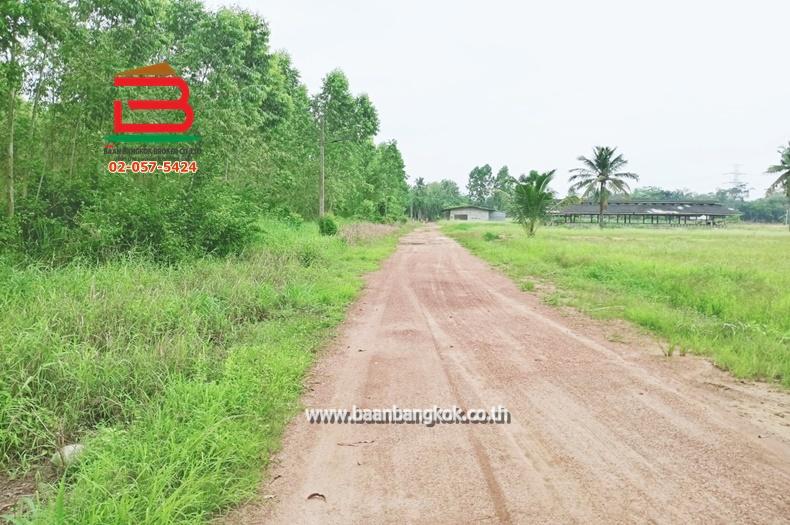 ที่ดินเปล่า ตำบลท่าบุญมี (สี่แยกเกาะโพธิ์) เนื้อที่ 71-0-22 ไร่ (ใกล้อ่างเก็บน้ำคลองหลวงรัชชโลทร) ตำบลท่าบุญมี อำเภอเกาะจันทร์ จังหวัดชลบุรี 6