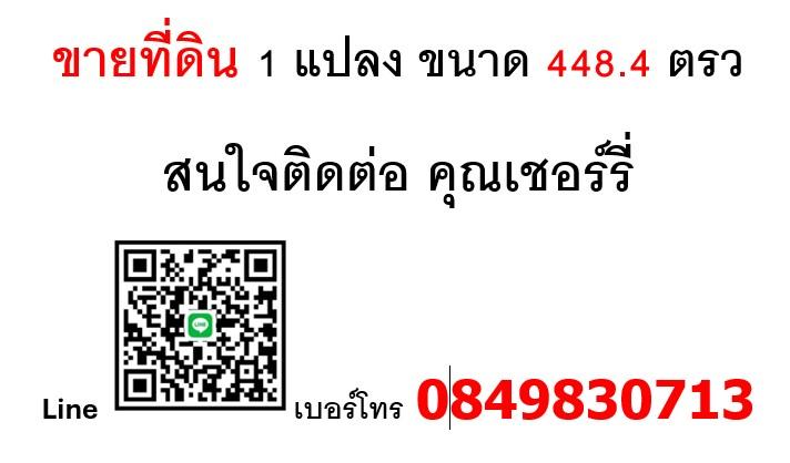 ขายที่ดินติดถนน 448 ตรว ใกล้สนามบินแม่ฮ่องสอน 6