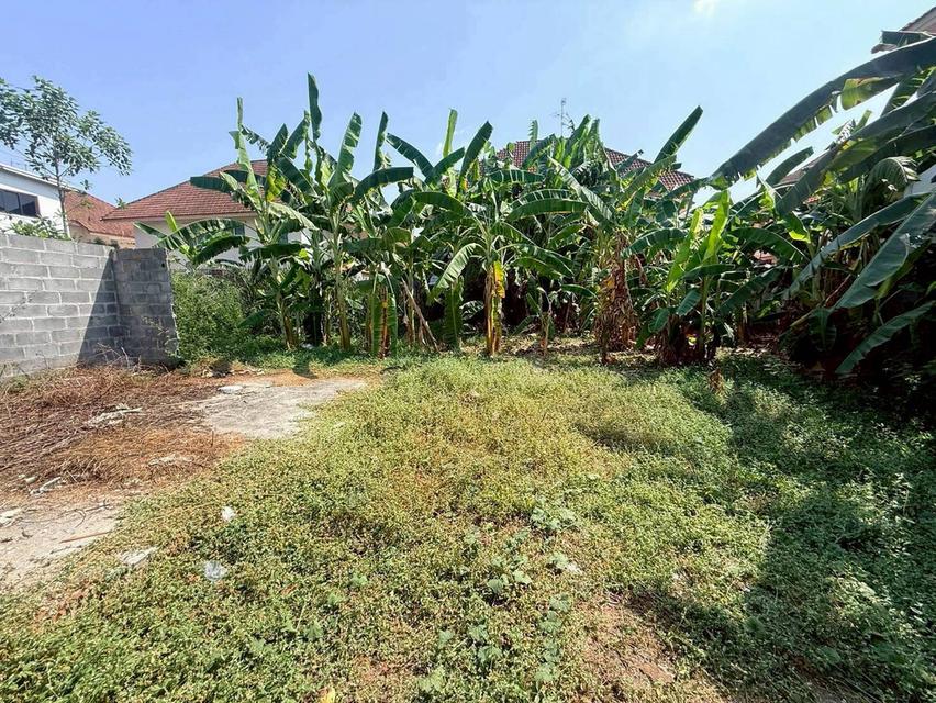 ขายถูกที่ดินลาดสวาย 124 ตรว ติดถนนคอรกรีตสาธารณะ ถมแล้ว ซ.ร่วมสุข 3 อ.ลำลูกกา จ.ปทุมธานี รูปที่ 8