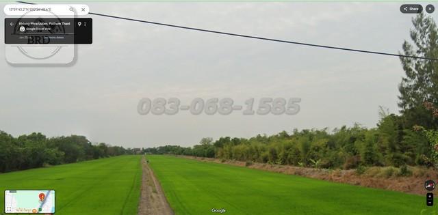 ขายถูกที่ดิน ลาดหลุมแก้ว (เนื้อที่ 21-1-29 ไร่ ขายไร่ละ 6.5 ล้าน) ลาดหลุมแก้ว ปทุมธานี 2