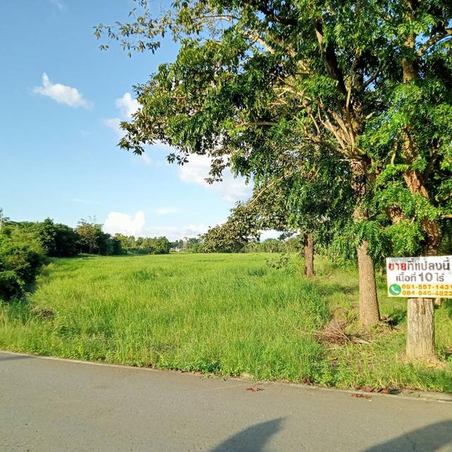 ที่ดิน 10 ไร่ ต.ย่านรี อ.กบินทร์บุรี 3