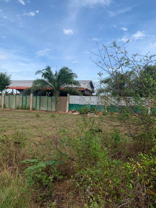 ขายที่ดินเปล่า ทำเลดี อำเภอกาญจนดิษฐ์ จังหวัดสุราษฎร์ธานี 10