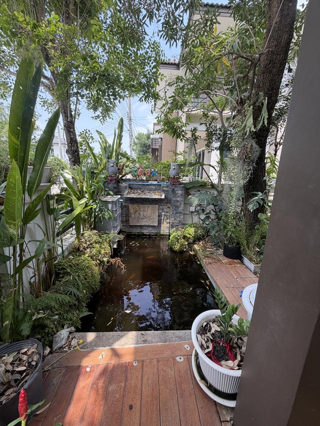 บ้านเดี่ยว 2ชั้น แถวสุวรรณภูมิ 6