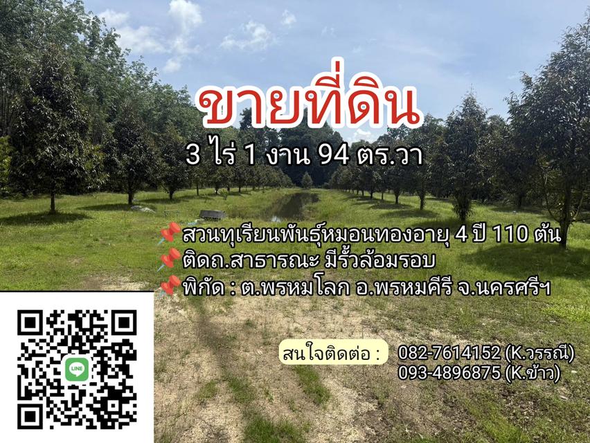 📌ขายด่วน สวนทุเรียนหมอนทอง 3 ไร่ 1 งาน 94 ตร.วา