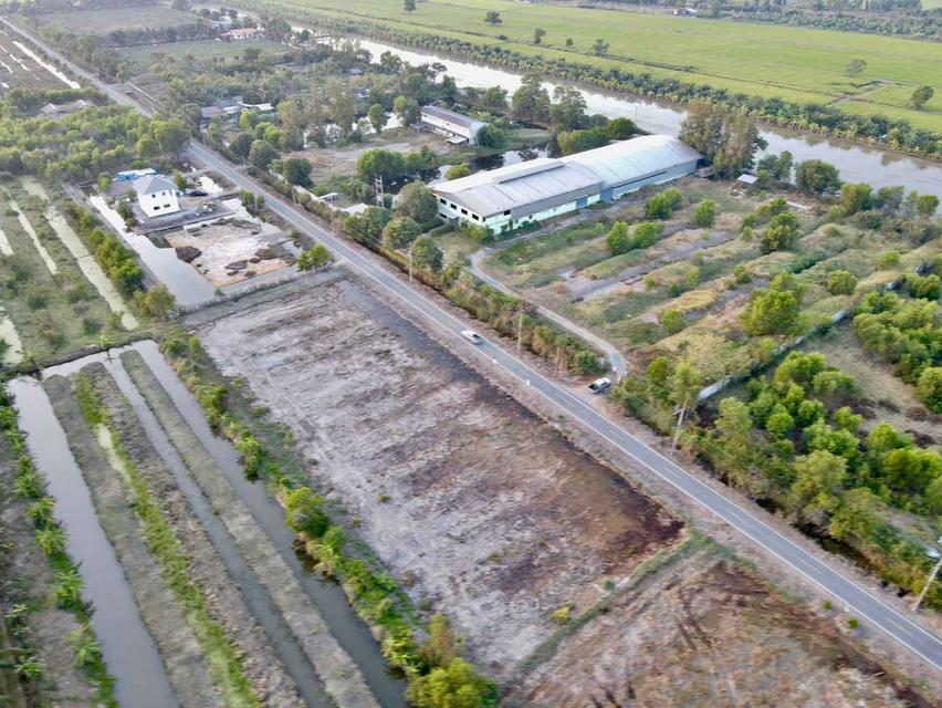 ขายที่ดินบึงชำอ้อ 200 ตรว. คลอง9 ติดถนนลาดยาง อ.หนองเสือ จ.ปทุมธานี 5