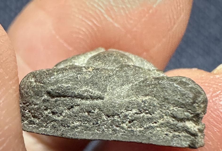 พระปิดตาเนื้อผงใบลาน ไม่ทราบที่ 6