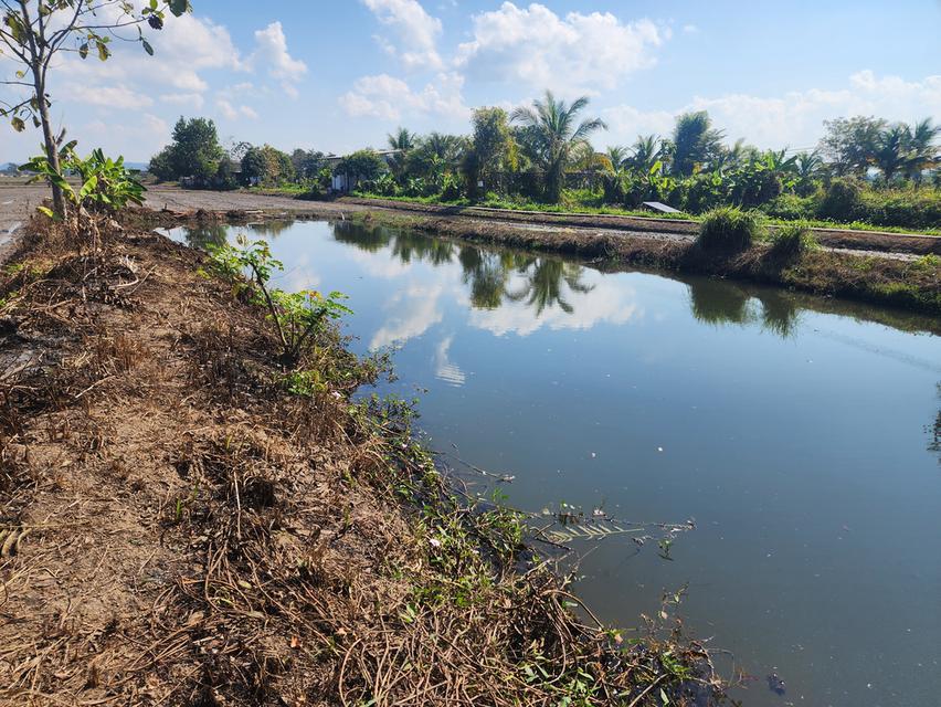 ขายที่ดิน ที่นาพร้อมบ่อปลา หมู่ 3 ต.เวียงเหนือ อ.เวียงชัย จ.เชียงราย ขนาด 2ไร่ 3 งาน 28 ตรว.มีทางเข้าออก สาธารณะ +ไฟฟา/น้ำปะปา เข้าถึง ราคา 9 แสนบาท ส 4