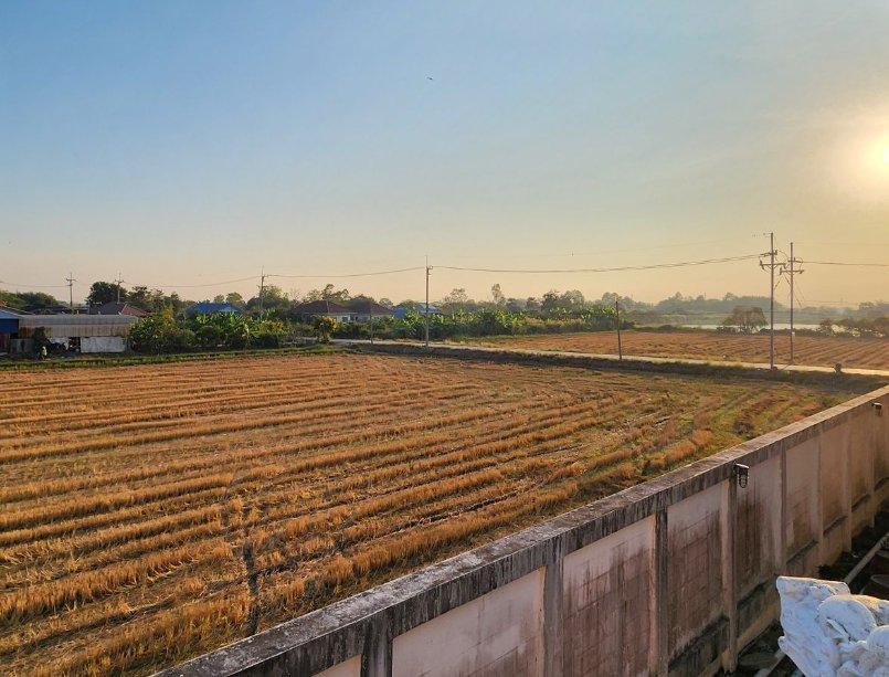 ขายที่ดินวังตะเคียน 53 ไร่ ซอยหลังแม็คโคร ติดคลอง ใกล้ถ.สุวินทวงศ์304-1กม. อ.เมืองฉะเชิงเทรา 8