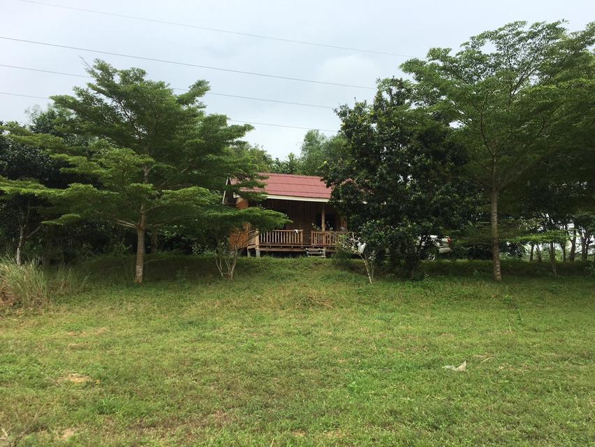 ขายที่ดินจังหวัดระยอง 4