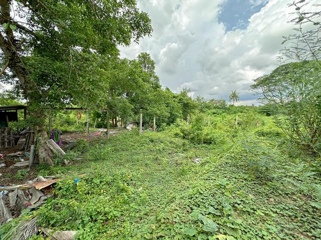 ที่ดินปากเกร็ด 85 ตร.วา ทำเลดี ราคาต่ำกว่าตลาด ใกล้รถไฟฟ้าสีชมพูใกล้วัดป่าเลไลย์ ปากเกร็ด นนทบุรี