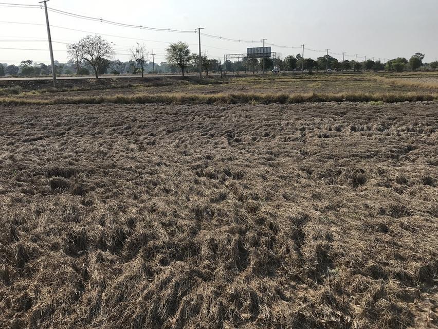 ขายที่ดินเปล่า จังหวัดอุบลราชธานี 6