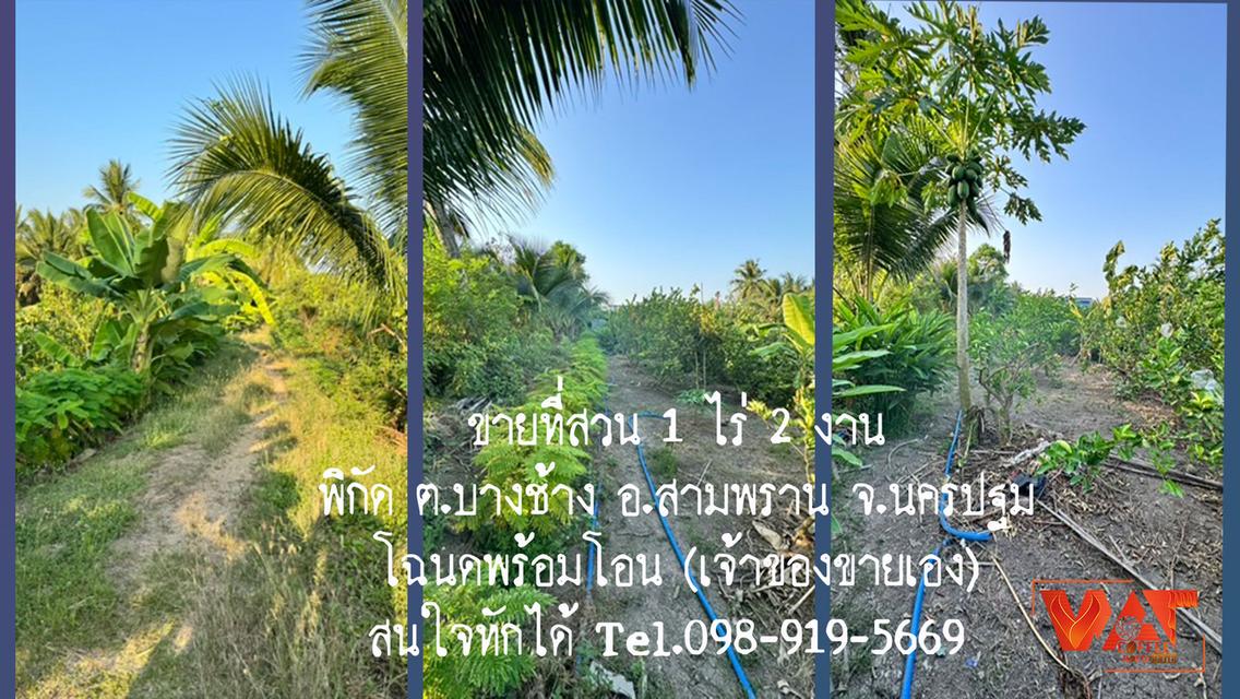 ขายที่เป็นสวนผสม 1ไร่ 2งาน 2