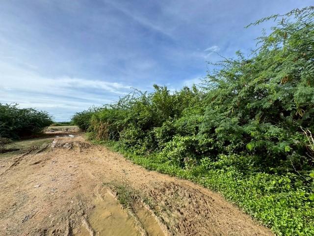 ขายที่ดิน 205 ตารางวา ตำบลหาดเจ้าสำราญ อำเภอเมืองเพชรบุรี จังหวัดเพชรบุรี ราคา 4,100,000 บาท 5