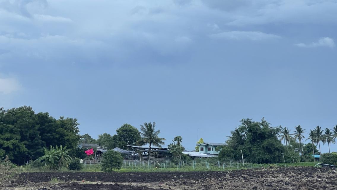 ที่ดินหนองม่วง จ. ลพบุรี 15