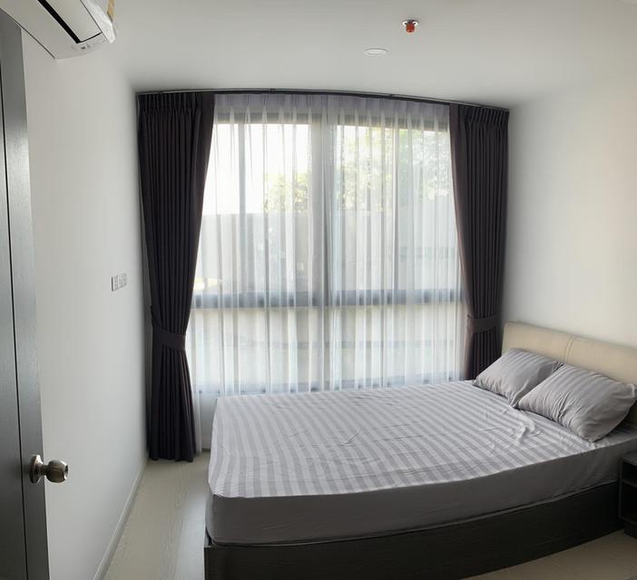 Elio Del Nest for rent 1 bedroom 1 bathroom 31 sqm rental 13,000 baht/month 6